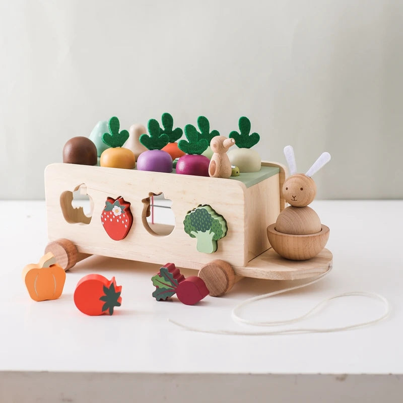 Wooden Turnip Car