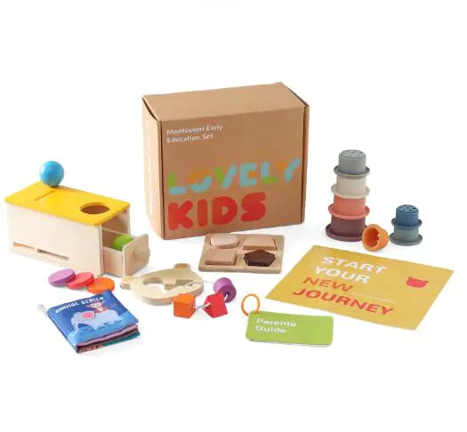 Montessori Shape Recognition Set